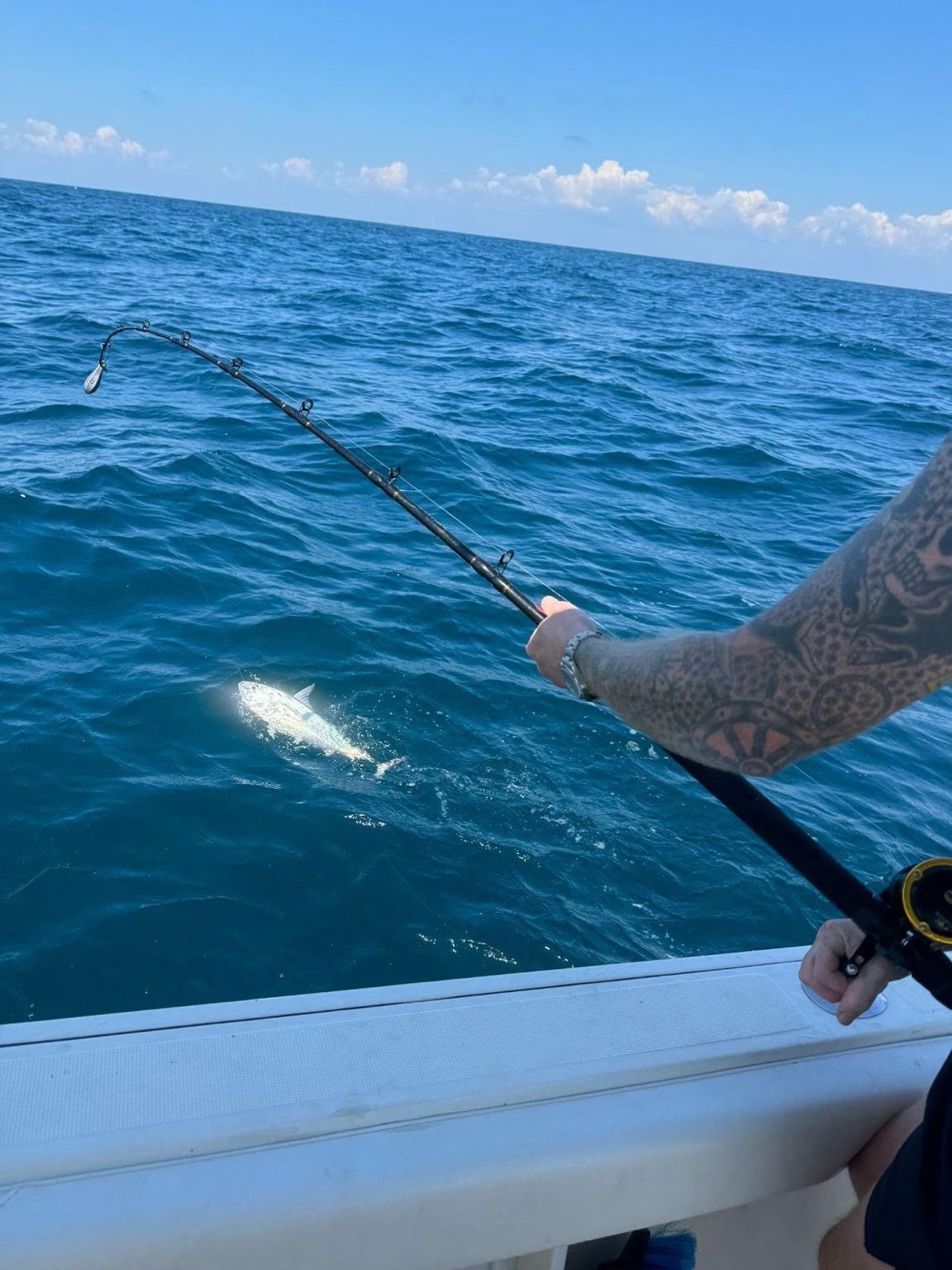 Close shot of rod and fish near surface